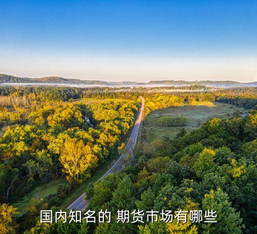 國(guó)內(nèi)知名的 期貨市場(chǎng)有哪些