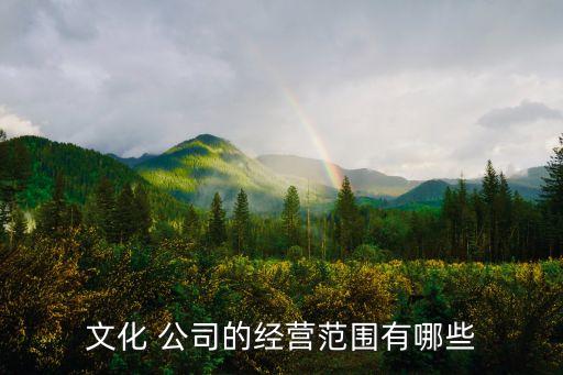 文化 公司的經營范圍有哪些