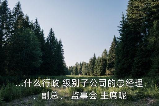 ...什么行政 級別子公司的總經(jīng)理、副總、 監(jiān)事會 主席呢