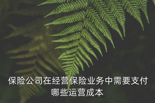  保險公司在經(jīng)營保險業(yè)務中需要支付哪些運營成本