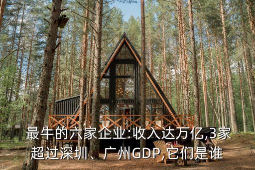  最牛的六家企業(yè):收入達(dá)萬億,3家超過深圳、廣州GDP,它們是誰