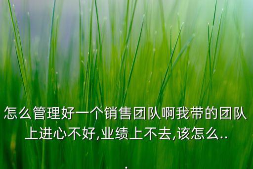 怎么管理好一個(gè)銷售團(tuán)隊(duì)啊我?guī)У膱F(tuán)隊(duì)上進(jìn)心不好,業(yè)績上不去,該怎么...