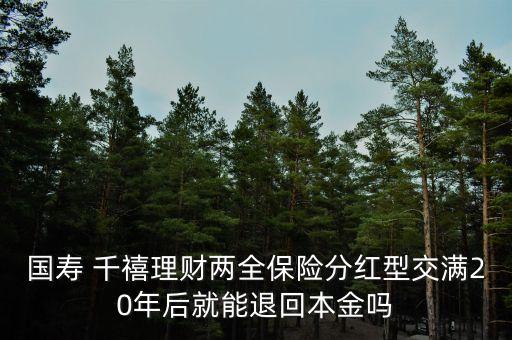 國(guó)壽 千禧理財(cái)兩全保險(xiǎn)分紅型交滿20年后就能退回本金嗎