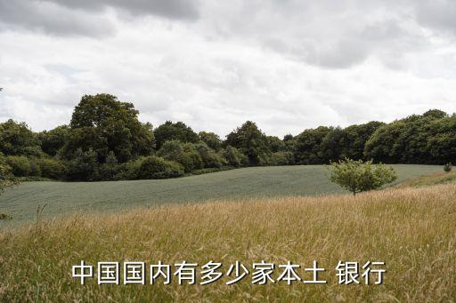 中國的銀行數量,中國現(xiàn)有銀行一覽表
