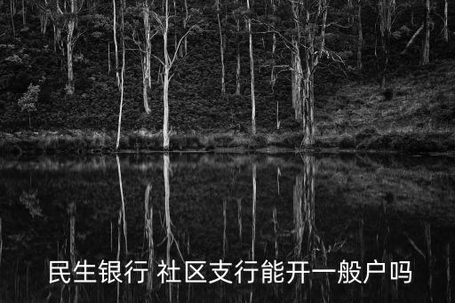  民生銀行 社區(qū)支行能開(kāi)一般戶嗎