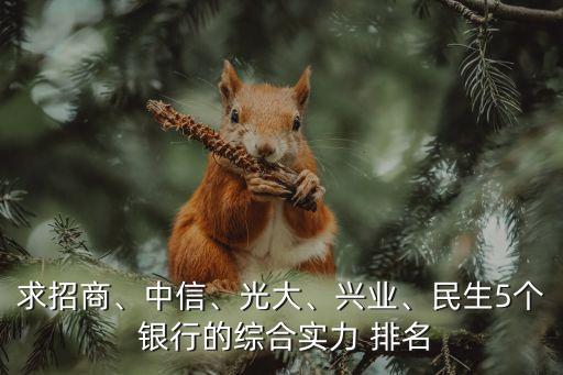 求招商、中信、光大、興業(yè)、民生5個 銀行的綜合實力 排名
