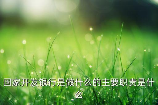 國家開發(fā)銀行是做什么的主要職責是什么
