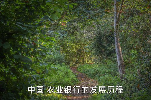中國 農業(yè)銀行的發(fā)展歷程