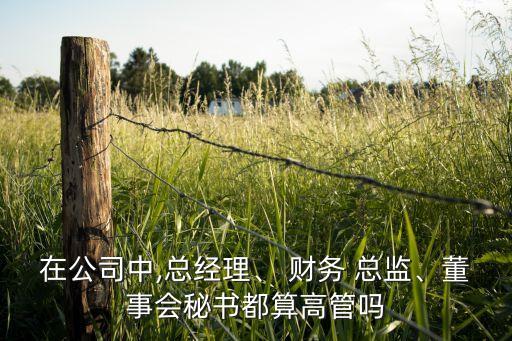 在公司中,總經(jīng)理、 財務(wù) 總監(jiān)、董事會秘書都算高管嗎