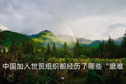 中國加入世貿組織都經(jīng)歷了哪些“磨難”