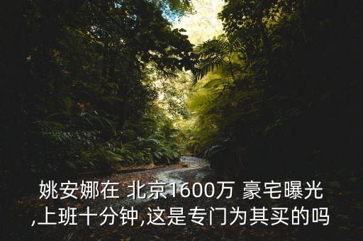 北京三環(huán)內豪宅
