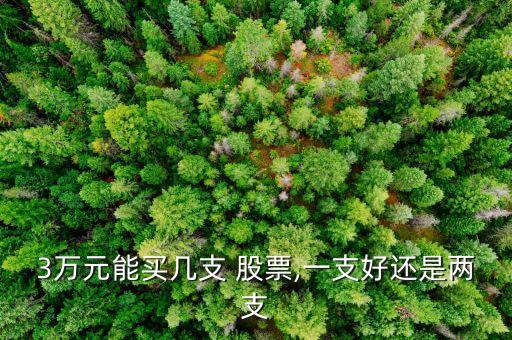3萬(wàn)元能買幾支 股票,一支好還是兩支
