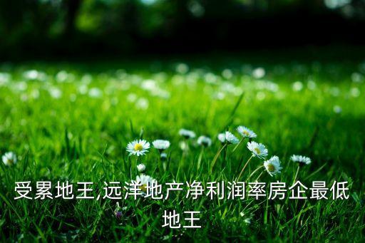 湖南地王集團資產多少,湖南永強資產管理集團怎么樣