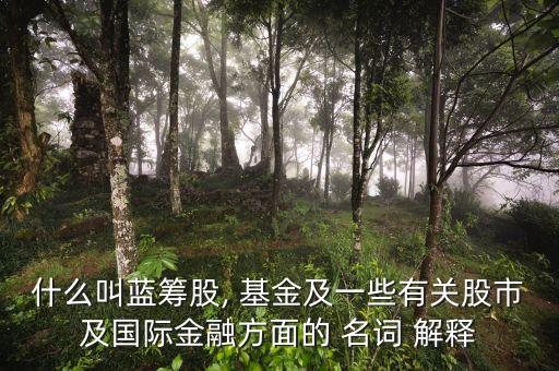 什么叫藍(lán)籌股, 基金及一些有關(guān)股市及國(guó)際金融方面的 名詞 解釋