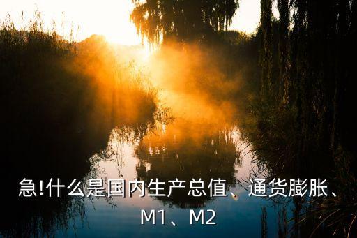 急!什么是國(guó)內(nèi)生產(chǎn)總值、通貨膨脹、M1、M2
