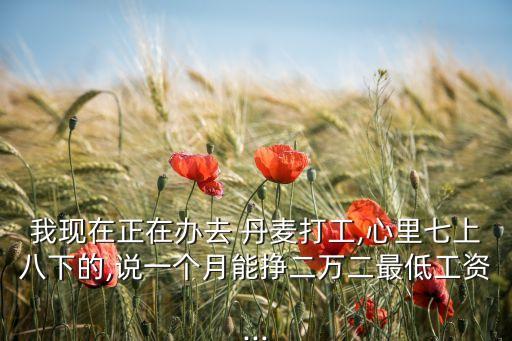 我現(xiàn)在正在辦去 丹麥打工,心里七上八下的,說一個(gè)月能掙二萬(wàn)二最低工資...