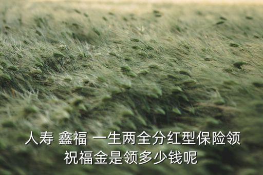  人壽 鑫福 一生兩全分紅型保險領祝福金是領多少錢呢