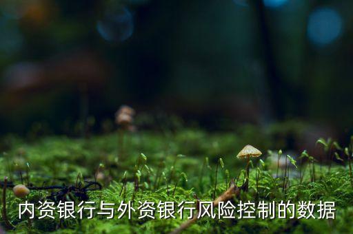 中國內資銀行與外資銀行風險控制的數(shù)據(jù)