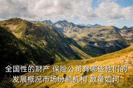 全國性的財(cái)產(chǎn) 保險公司有哪些他們的發(fā)展概況市場份額機(jī)構(gòu) 數(shù)量如何