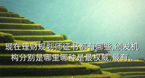 現(xiàn)在理財規(guī)劃師證書都有哪些,頒發(fā)機構分別是哪里哪種是最權威,最有...