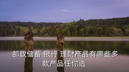  郵政儲蓄 銀行 理財產(chǎn)品有哪些多款產(chǎn)品任你選