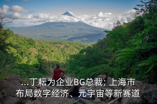 ...丁耘為企業(yè)BG總裁; 上海市布局?jǐn)?shù)字經(jīng)濟(jì)、元宇宙等新賽道