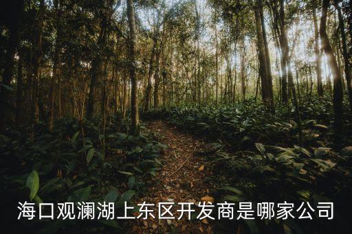 ?？谟^瀾湖上東區(qū)開發(fā)商是哪家公司