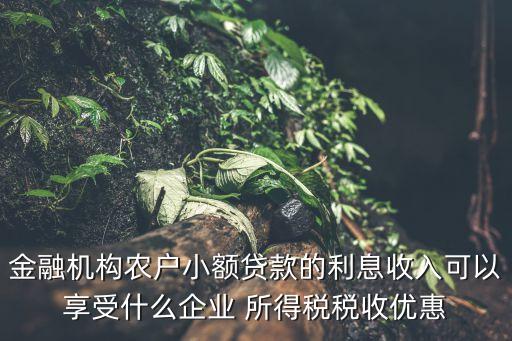 金融機構農戶小額貸款的利息收入可以享受什么企業(yè) 所得稅稅收優(yōu)惠