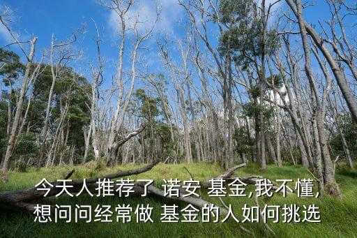 今天人推薦了 諾安 基金,我不懂,想問(wèn)問(wèn)經(jīng)常做 基金的人如何挑選