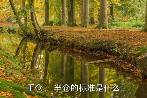 重倉、 半倉的標準是什么