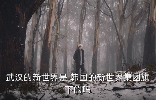 武漢的新世界是 韓國(guó)的新世界集團(tuán)旗下的嗎