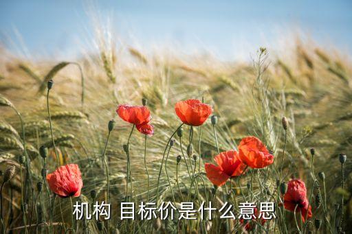 機構(gòu) 目標價是什么意思