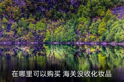 在哪里可以購(gòu)買 海關(guān)沒收化妝品