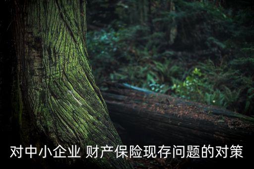 對(duì)中小企業(yè) 財(cái)產(chǎn)保險(xiǎn)現(xiàn)存問(wèn)題的對(duì)策