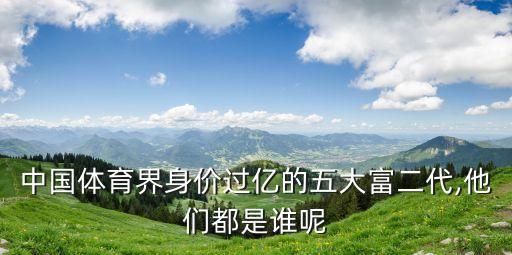 2015年中國(guó)誰最有錢