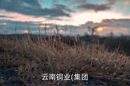 云南銅業(yè)(集團