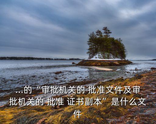 ...的“審批機關的 批準文件及審批機關的 批準 證書副本”是什么文件