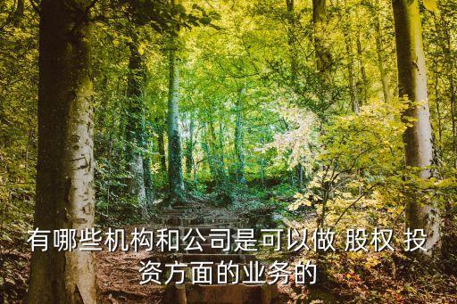 有哪些機構(gòu)和公司是可以做 股權(quán) 投資方面的業(yè)務的