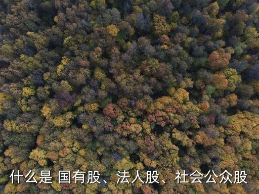 什么是 國(guó)有股、法人股、社會(huì)公眾股