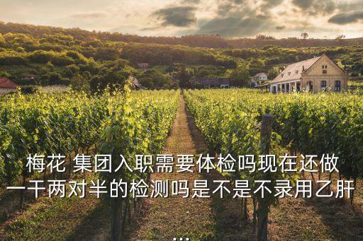  梅花 集團入職需要體檢嗎現(xiàn)在還做一干兩對半的檢測嗎是不是不錄用乙肝...