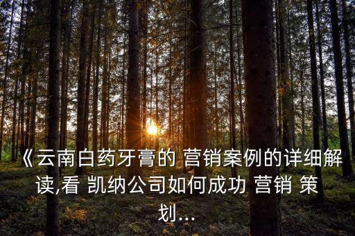 《云南白藥牙膏的 營(yíng)銷案例的詳細(xì)解讀,看 凱納公司如何成功 營(yíng)銷 策劃...