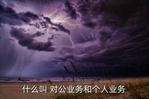 什么叫 對公業(yè)務(wù)和個人業(yè)務(wù)