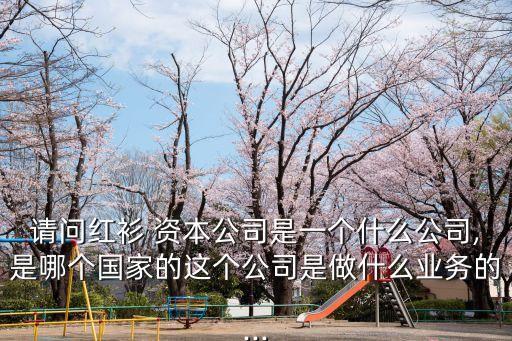 請問紅衫 資本公司是一個(gè)什么公司,是哪個(gè)國家的這個(gè)公司是做什么業(yè)務(wù)的...