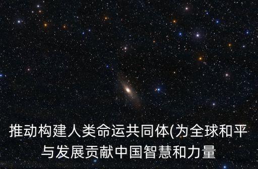 推動構(gòu)建人類命運(yùn)共同體(為全球和平與發(fā)展貢獻(xiàn)中國智慧和力量