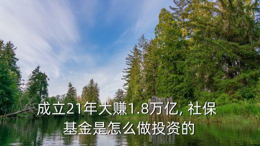 成立21年大賺1.8萬(wàn)億, 社保 基金是怎么做投資的