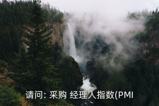 請(qǐng)問: 采購(gòu) 經(jīng)理人指數(shù)(PMI