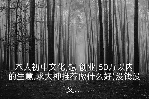 本人初中文化,想 創(chuàng)業(yè),50萬(wàn)以?xún)?nèi)的生意,求大神推薦做什么好(沒(méi)錢(qián)沒(méi)文...