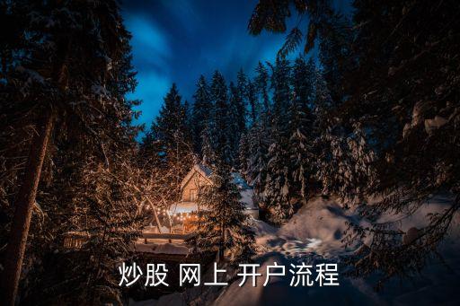 炒股 網(wǎng)上 開(kāi)戶(hù)流程