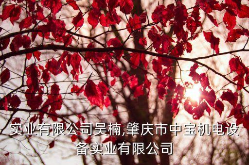 中寶實業(yè)有限公司吳楠,肇慶市中寶機電設備實業(yè)有限公司