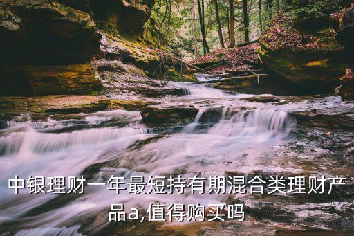 中銀理財一年最短持有期混合類理財產(chǎn)品a,值得購買嗎